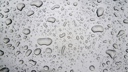 Water droplets on the hood of the car