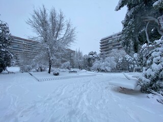 Gran nevada