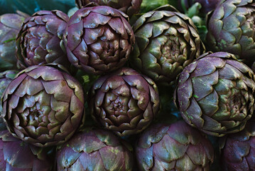 Violet artichoke flower plant. Close-up on sale in a vegetable shop