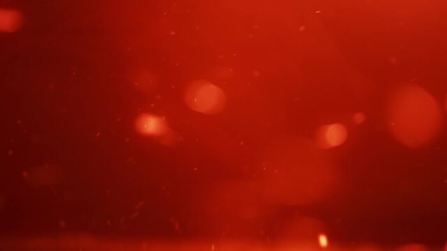 Natural snow on the dark red background. Sparkles and particles on the intense red background