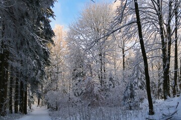 Winter im Erzgebirge