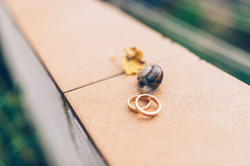 Alianzas de boda y caracol