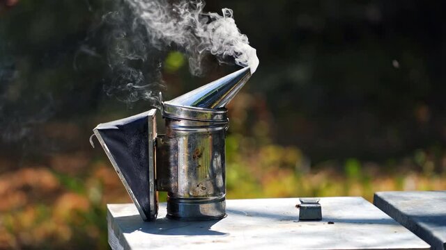 Metal bee smocker for beekeeping. Close up of chimney with smoke on apiary
