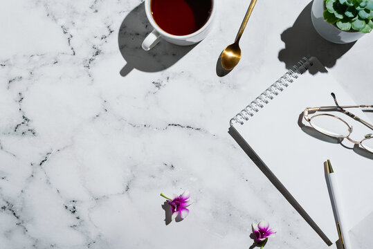 Flatlay of succulents, vintage film camera and notebook with pen on marble