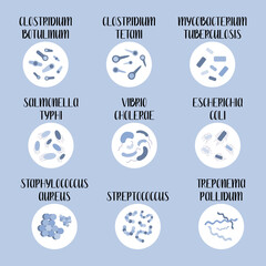9 most pathogenic bacteria: Escherichia Coli, Staphylococcus Aureus, Streptococcus, Clostridium, Salmonella. Dangerous infections. Bacteriology. Morphology. Microbiology. Vector flat illustration - obrazy, fototapety, plakaty