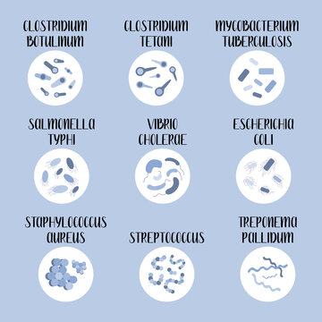 9 most pathogenic bacteria: Escherichia Coli, Staphylococcus Aureus, Streptococcus, Clostridium, Salmonella. Dangerous infections. Bacteriology. Morphology. Microbiology. Vector flat illustration