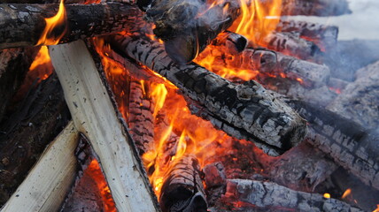 Big fire in the forest, firewood burning