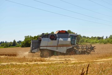 Combine harvester in action on wheat field. Process of gathering a ripe crop.