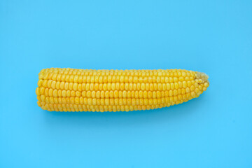 Sweetcorn Against Blue Background. Flat lay composition with tasty sweet corn cobs on color background. Cobs of ripe raw corn on blue background. Top view.