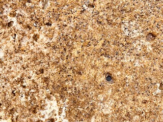 texture of sand