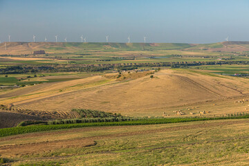 Fototapeta na wymiar イタリア　南イタリアの風力発電と牧草地 