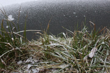 The first snow lies on the green grass on the shore of the reservoir