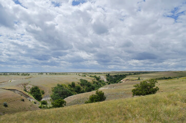 Fototapeta premium Steppe on the banks of the Volga