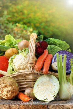 various winter vegetables in basket, vertical