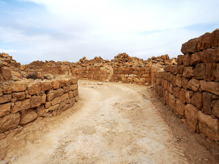 Street of the ancient Nabatean city in the desert