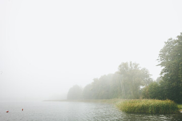 Mgła nad jeziorem - obrazy, fototapety, plakaty