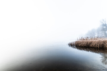 Mgła nad jeziorem w zimowy poranek - obrazy, fototapety, plakaty