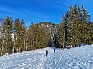Hikers and walkers on the beautiful idyllic fresh snow of the Alpstein mountain massif and in the...