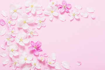 Naklejka na ściany i meble pink apple flowers on pink background