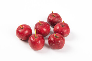 Red Hawthorn Berries isolated on white background close-up