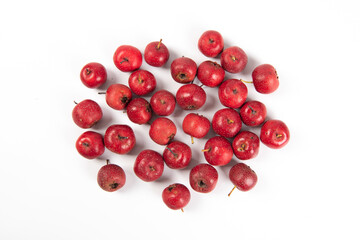 Red Hawthorn Berries isolated on white background close-up