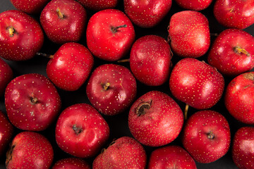 Close up of Red Hawthorn Berries covered in full screen