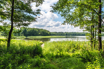 droga leśna, drzewa, dzika przyroda, forest, jesień, krajobraz, landscape, lasy, mazurski krajobraz, mazury, słońce, wildlife, zieleń, słońce, jezioro, lake, warmia, tafla jeziora, promyk słońca