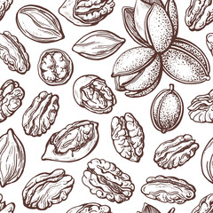 Pecan nut seamless pattern Vector drawn old sketch