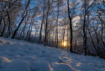 Winter Landschaft Schnee Sauerland Wonderland Idyll Frost weiß Bäume Wald Natur Silhouetten...