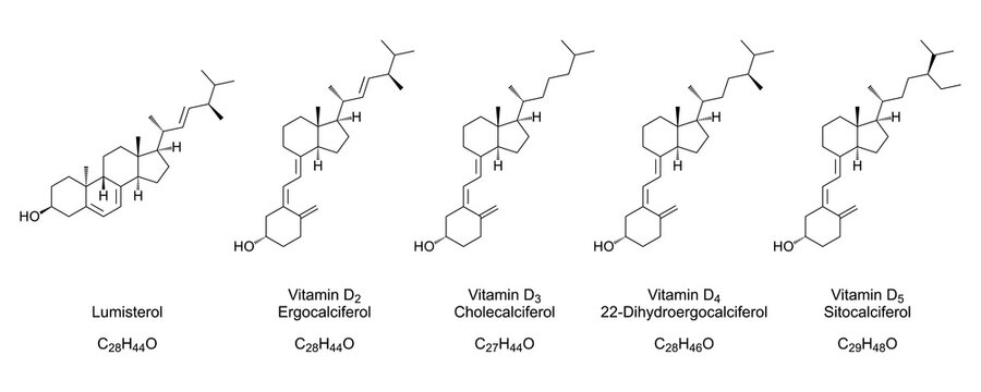 Vitamin D forms, chemical structures and skeletal formulas. Lumisterol, ergocalciferol, cholecalciferol, 22-dihydroergocalciferol and sitocalciferol. Vitamin D1 is a mix of lumisterol and Vitamin D2.
