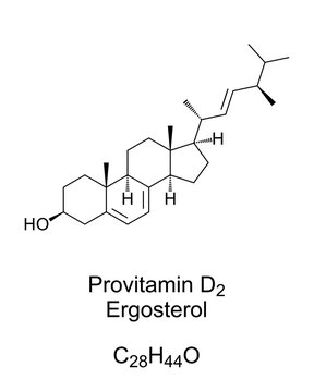 Ergosterol, a provitamin form of Vitamin D2, chemical structure and skeletal formula. A sterol, found in cell membranes of fungi and protozoa. Useful target for antifungal drugs. Illustration. Vector.