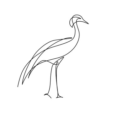 Crane bird in continuous line art drawing style. Demoiselle crane black linear sketch isolated on white background. Vector illustration