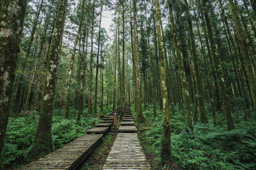 Travel in Taiwan
