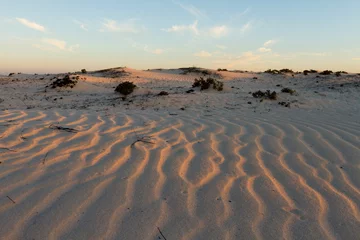 Fototapeten Desert at Ras Madrakah, Oman © AGAMI
