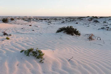 Foto op Plexiglas Desert at Ras Madrakah, Oman © AGAMI