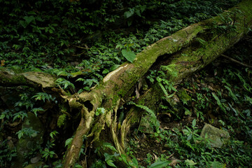 Travel in Taiwan