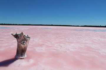 pink salt lake
