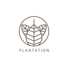 simple leaf line illustration circle logo for plantation design template vector