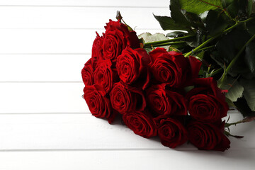 Beautiful red roses on the background. Space for text.
