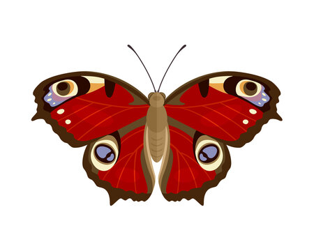 red butterfly isolated on white background. Vector cartoon flat illustration.