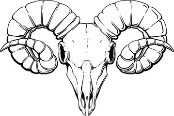 black horned angry ram skull isolated on white background