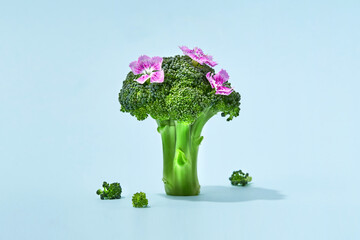 Broccoli sprig with flowers on colored background, asparagus cabbage isolated. Perfect Sprig of...