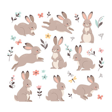 Rabbits collection. Vector illustration of cute cartoon brown bunny in different poses and actions: sitting, jumping laying. Isolated on white