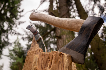 Chopper or axe standing upright in a tree stump