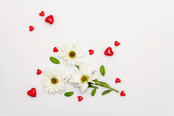 Red hearts and fresh fragrant chrysanthemums isolated on white background