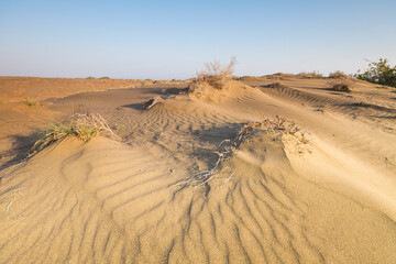 Fototapeta na wymiar Suwadi Beach, Oman