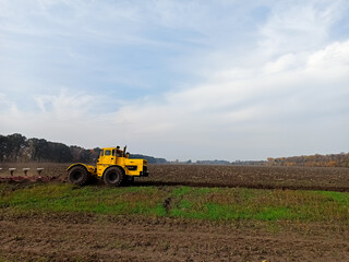 Fototapeta premium Agricultural yellow tractor, combine rides on the field, handles the ground, plough yells the ground in the fall.