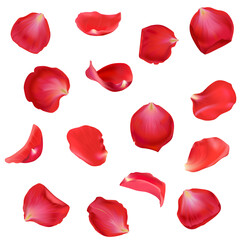 Red petals. Background of rose petals. Vector.