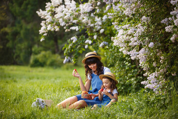 Mother and little daughter in blooming lilac garden with lilac bouquet. Mom loves her child. Spring story. Family look romantic similar blue dresses and straw hat. Happy family in beautiful spring day