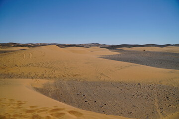 Fototapeta na wymiar Desierto y arena, huellas
